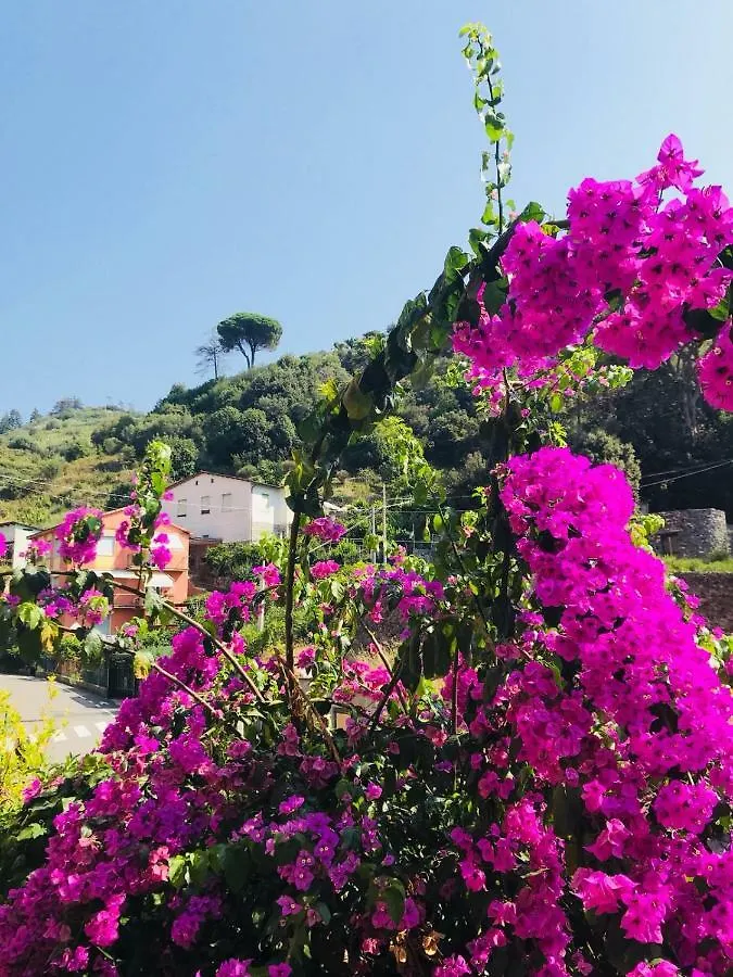Appartamento Le Conchiglie Monterosso Al Mare Apartment